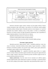 Ekonominis augimas, jo stadijos, veiksniai bei padariniai 7 puslapis