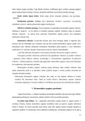 Ekonomikos augimas ir jo veiksniai 11 puslapis