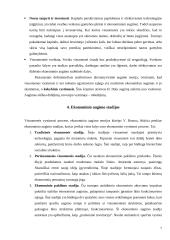 Ekonomikos augimas ir jo veiksniai 7 puslapis