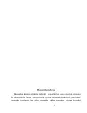 Ekonomikos perspektyvos 6 puslapis