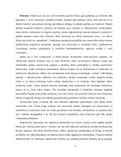 Ekonomikos perspektyvos 8 puslapis