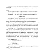 Ekonominė integracija ir veiksniai skatinantys jos plėtrą 13 puslapis