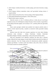 Ekonominė integracija ir veiksniai skatinantys jos plėtrą 16 puslapis