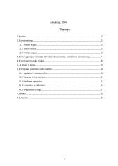 Ekonominė ir pinigų sąjunga (EPS) 2 puslapis