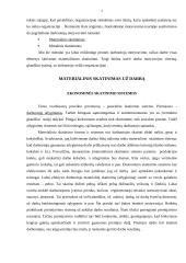 Ekonominės darbuotojų skatinimo sistemos 2 puslapis