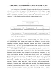 Ekonominės darbuotojų skatinimo sistemos 3 puslapis