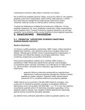 Ekonominis įvertinimas 11 puslapis