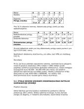 Ekonominis įvertinimas 13 puslapis