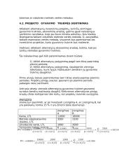 Ekonominis įvertinimas 9 puslapis