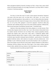 Ekonominių geografinių struktūrų analizė Japonijoje 14 puslapis