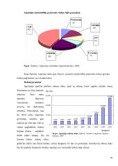 Ekonominių geografinių struktūrų analizė Japonijoje 17 puslapis