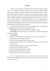 Ekonominių geografinių struktūrų analizė Japonijoje 2 puslapis