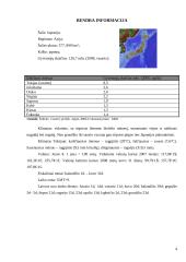 Ekonominių geografinių struktūrų analizė Japonijoje 3 puslapis