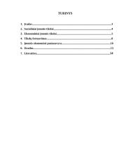 Ekonominių ir socialinių įmonės tikslų suderinimas 2 puslapis