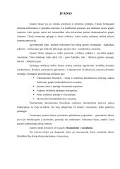 Ekonominių ir socialinių įmonės tikslų suderinimas 3 puslapis