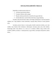 Ekonominių ir socialinių įmonės tikslų suderinimas 4 puslapis