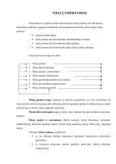 Ekonominių ir socialinių įmonės tikslų suderinimas 8 puslapis