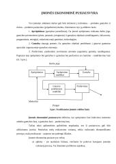 Ekonominių ir socialinių įmonės tikslų suderinimas 10 puslapis