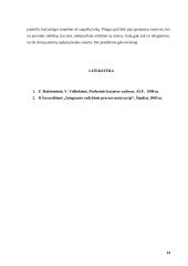 Ekonomisto motyvavimas 14 puslapis