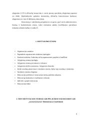 Ekonomisto motyvavimas 5 puslapis