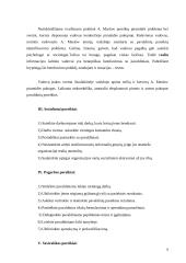 Ekonomisto motyvavimas 7 puslapis