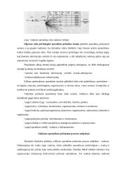 Ekonomiškai naudingų sprendimų priėmimas - sėkmingos organizacijos veiklos pagrindas 13 puslapis