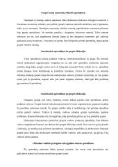 Ekonomiškai naudingų sprendimų priėmimas - sėkmingos organizacijos veiklos pagrindas 19 puslapis