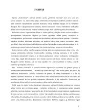 Ekoturizmo reikšmė