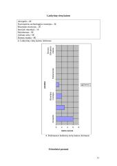 Ekskursija po Graikijos sostinę-Atėnus 11 puslapis