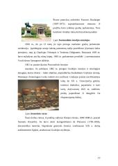 Ekskursija po Graikijos sostinę-Atėnus 13 puslapis