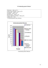 Ekskursija po Graikijos sostinę-Atėnus 16 puslapis