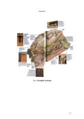 Ekskursija po Graikijos sostinę-Atėnus 17 puslapis