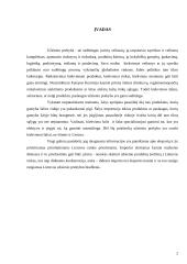 Eksportas-importas Lietuvoje 2 puslapis