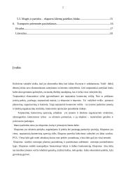 Eksporto inicijavimas, planavimas ir organizavimas 2 puslapis