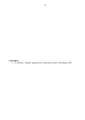 Eksporto inicijavimas, planavimas ir organizavimas 17 puslapis