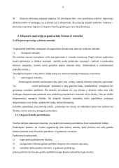 Eksporto inicijavimas, planavimas ir organizavimas 4 puslapis