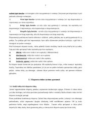 Eksporto inicijavimas, planavimas ir organizavimas 5 puslapis