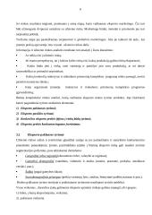 Eksporto inicijavimas, planavimas ir organizavimas 6 puslapis