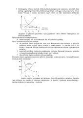 Elastingumo samprata 14 puslapis