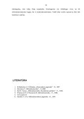 Elastingumo samprata 16 puslapis