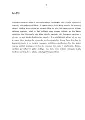 Elastingumo samprata 3 puslapis