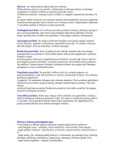 Elastingumo teorija ir jos svarba 11 puslapis