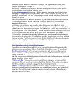 Elastingumo teorija ir jos svarba 13 puslapis