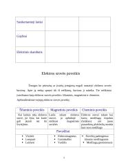 Elektra, elektros srovė, įsielektrinimas 5 puslapis