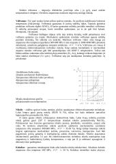 Elektrinių kontaktų medžiagos ir jų savybės 4 puslapis