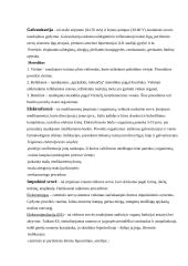 Elektroforezė 10 puslapis