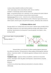 Elektroforezė 11 puslapis