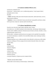 Elektroforezė 13 puslapis