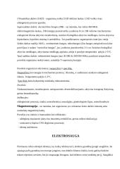 Elektroforezė 14 puslapis