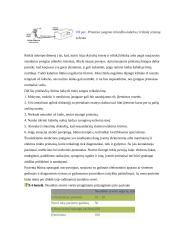 Elektroforezė 16 puslapis